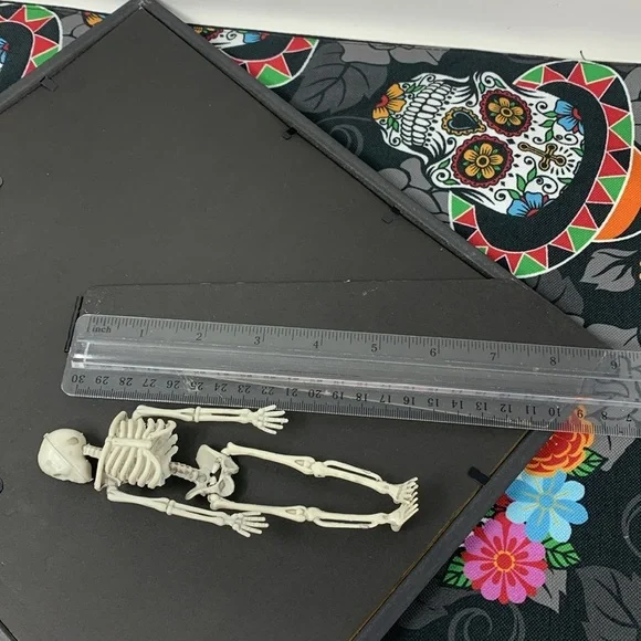 Creepy Vampira with skull Picture Frame with Free plastic skeleton decor💀 - Picture 17 of 17